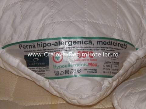 Cazare Craiova burdufuri perna hipoalergenice